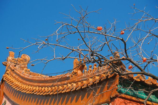 最好？榜单揭秘途开心不仅正规且靠谱！开元ky棋牌2025北京哪家旅行社(图1)